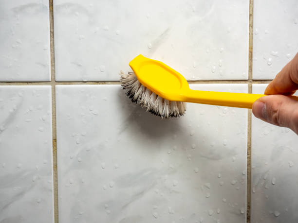 Best Toxic Mold Removal  in Darmstadt, IN