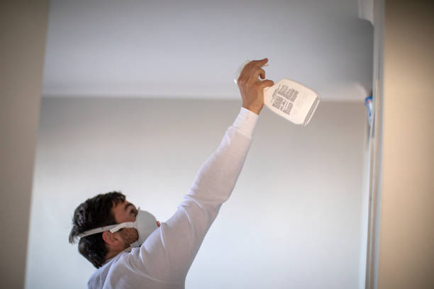 Office Mold Removal Services in Darmstadt, IN