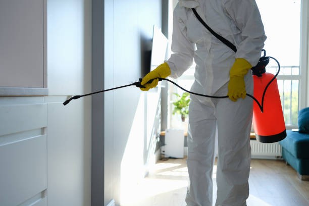 Darmstadt, IN Mold Removal Company