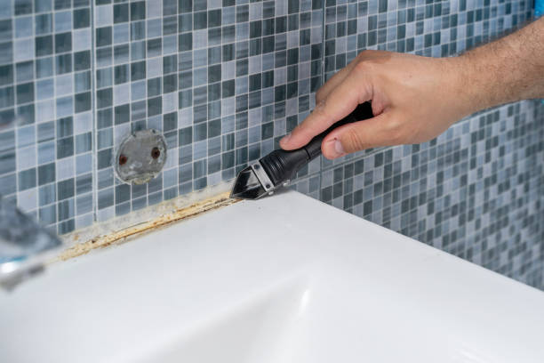 Best Mold Damage Repair  in Darmstadt, IN