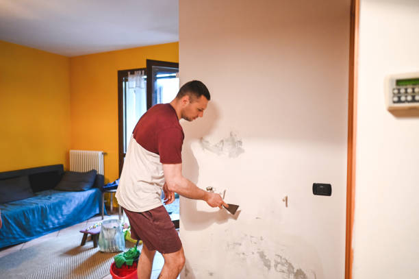 Best Black Mold Removal  in Darmstadt, IN